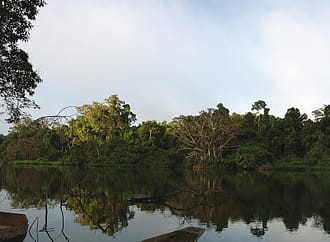 Perú destina más de 22 millones de euros para proteger la Amazonía: 15 áreas naturales serán fortalecidas