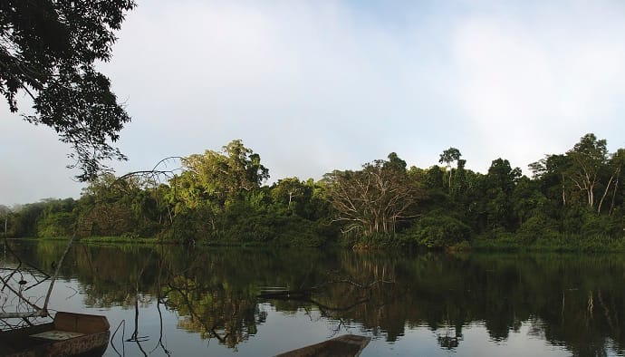 Perú destina más de 22 millones de euros para proteger la Amazonía: 15 áreas naturales serán fortalecidas