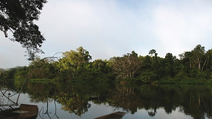 Perú destina más de 22 millones de euros para proteger la Amazonía: 15 áreas naturales serán fortalecidas